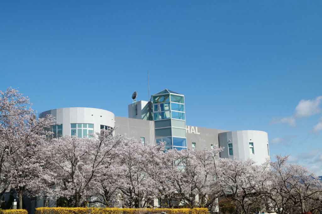 株式会社ハル研究所（HAL Laboratory, Inc.）